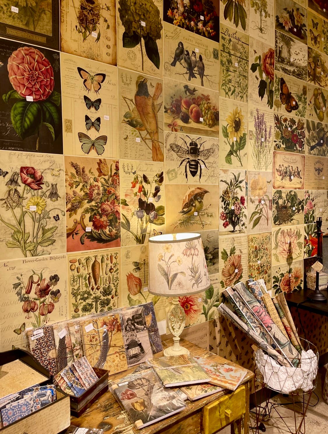 Monahan Papers - Assorted 11" x 17"   50 Piece Birds, Nests & Florals