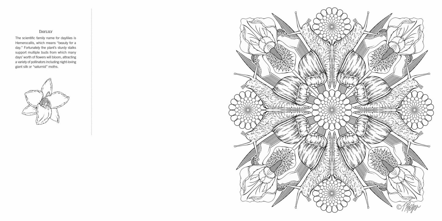 Schiffer Publishing - Garden Life: Nature Mandala Coloring Book