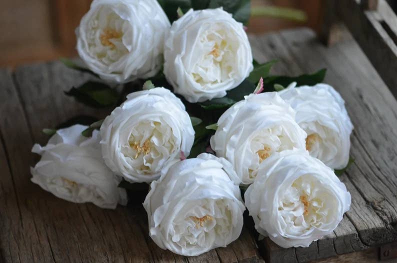 Angel Isabella - 17"Premium Real touch English Austin Cabbage Rose Stem: Pure White