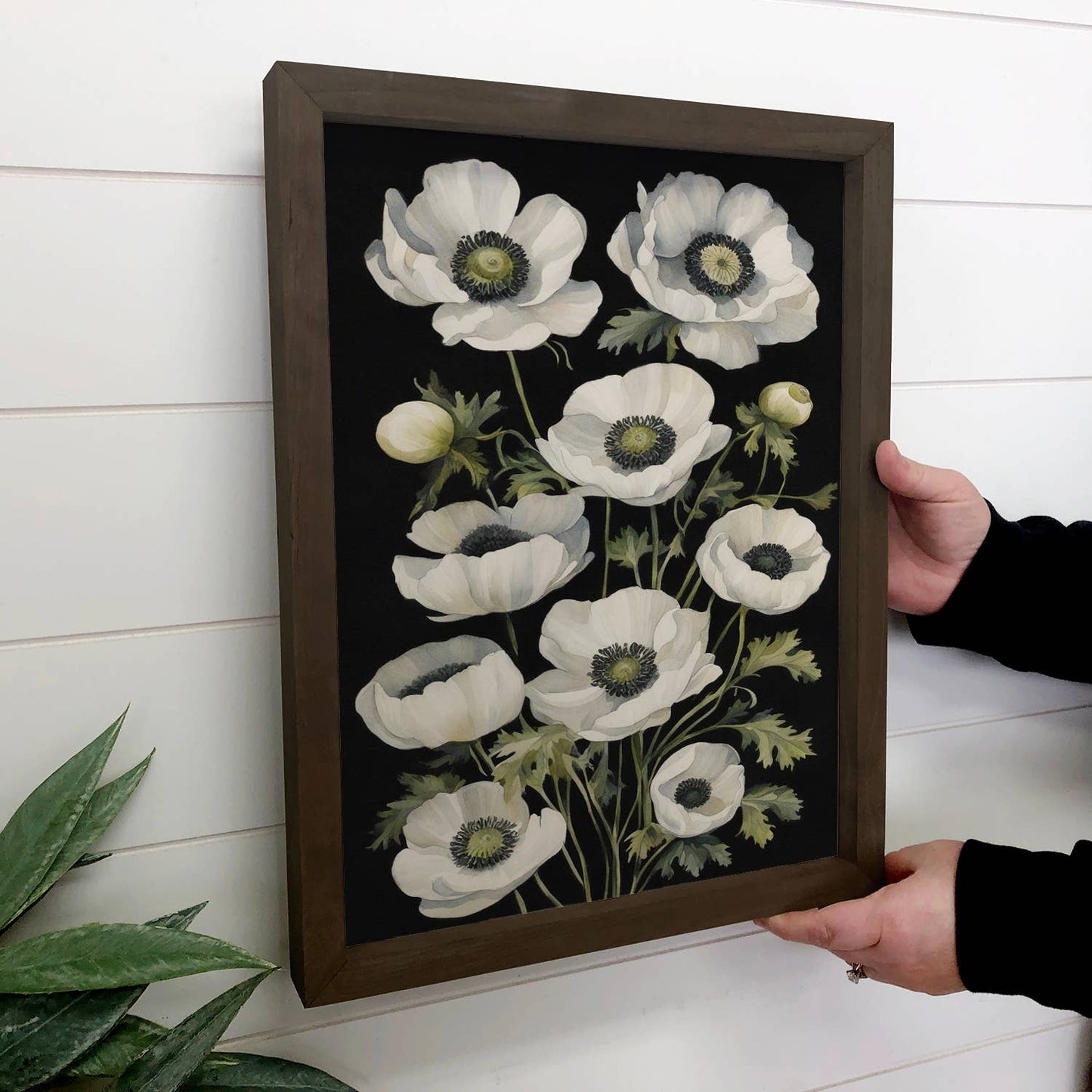 Hangout Home - Anemone Flower Black Background - Flower Canvas Art - Framed: 24x36" Extra Large Canvas Art with Thick Wood Frame