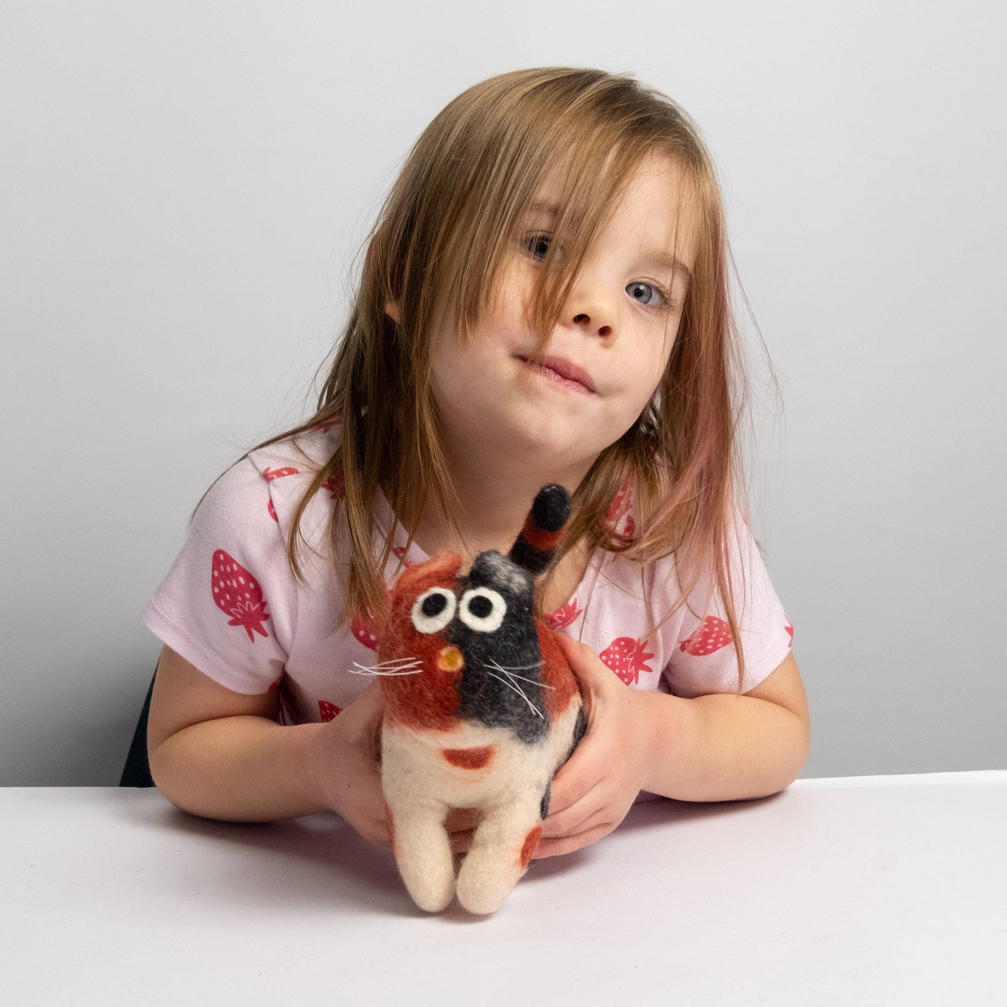 The Winding Road - Cat - Calico