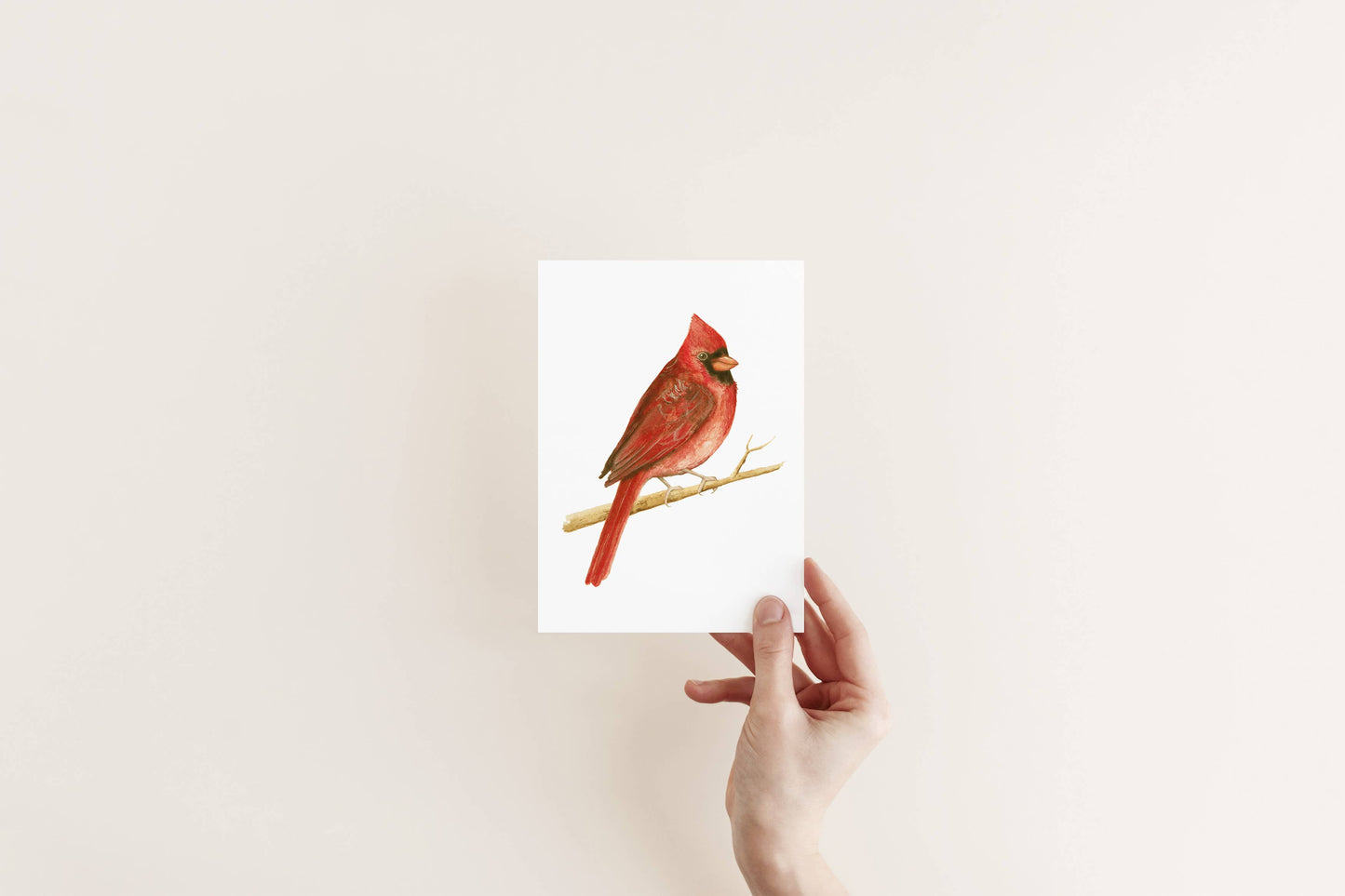 Liz Pope Designs - Bird hand painted greeting card, Cardinal, spring stationary: Box Set of 6