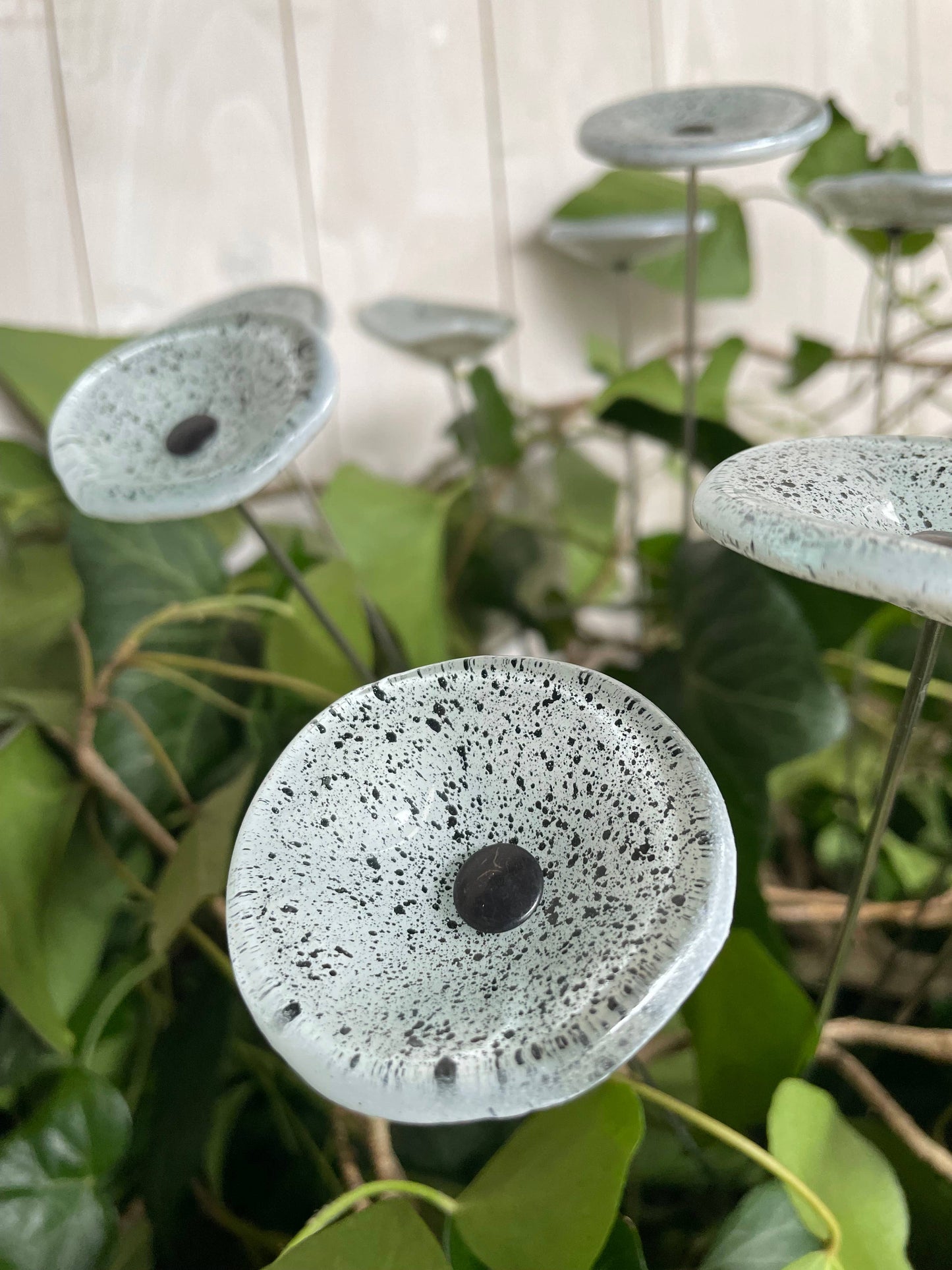 CARNEOL GLASS - Small Glass Flower For Inside In White-Black