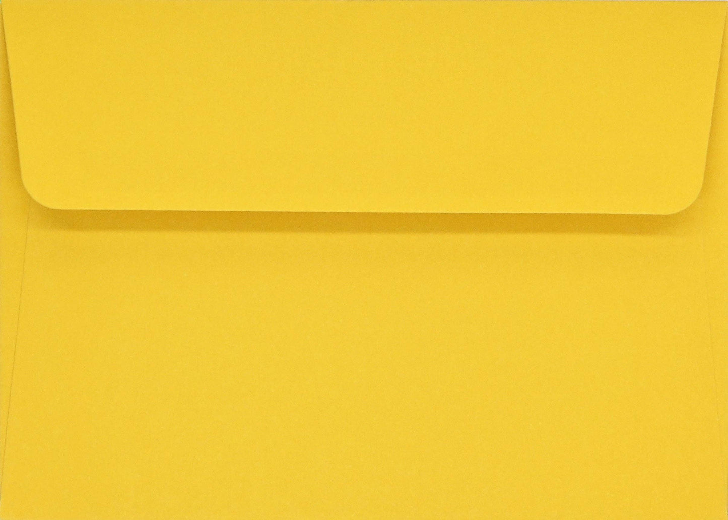 Peter Pauper Press - Sunflower Dreams Note Cards