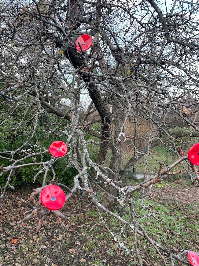 CARNEOL GLASS - Small Glass Flower For Outside In Red On Flexible Stem