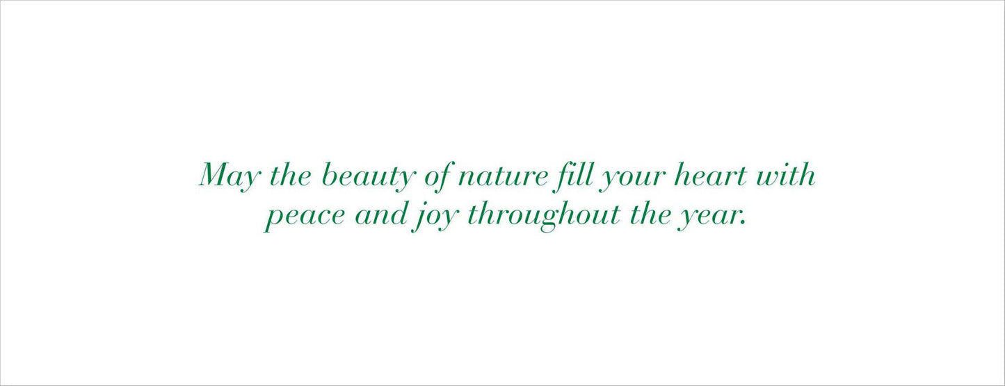 Peter Pauper Press - Winter Forest Friends Panoramic Holiday Boxed Cards