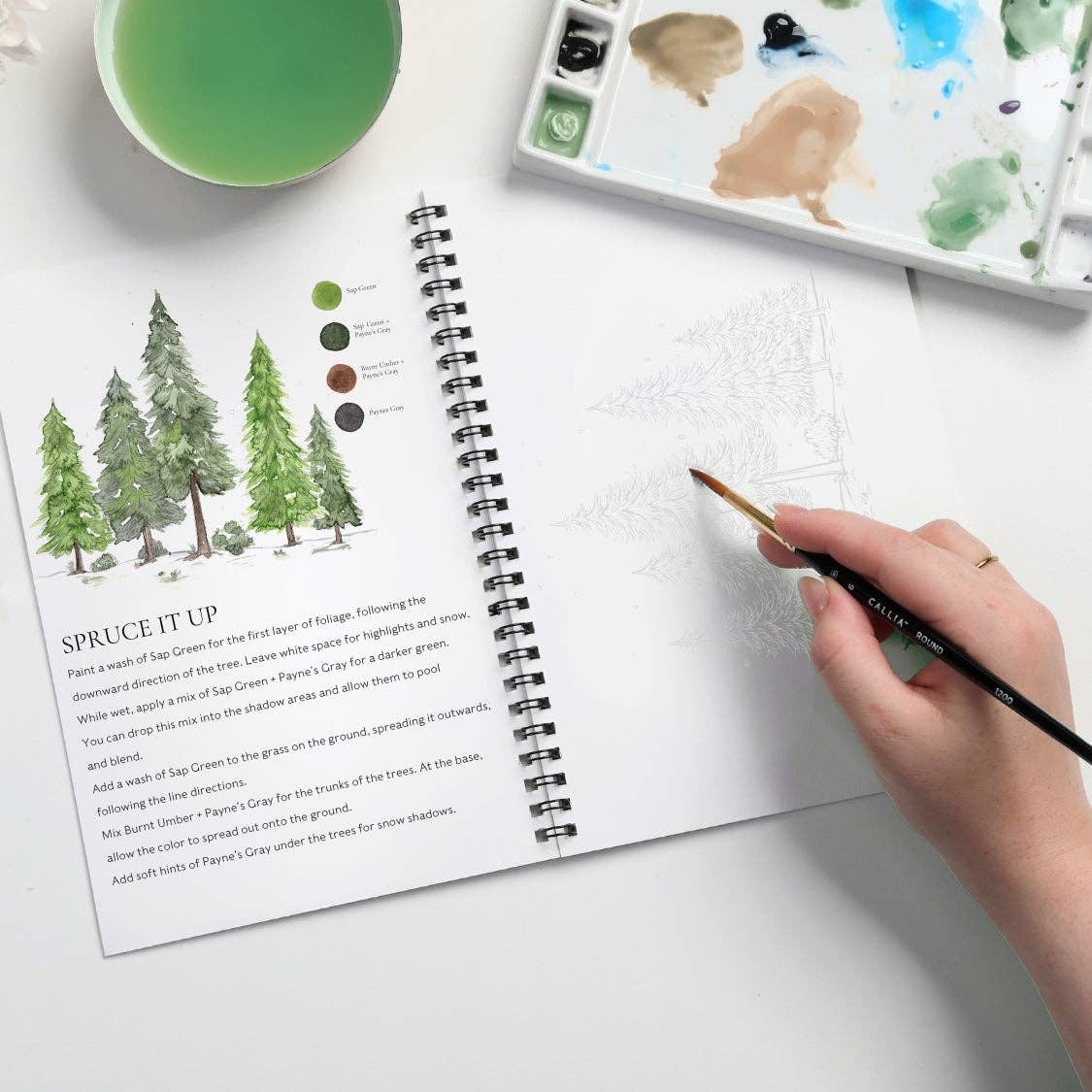 Willow Wolfe USA - Winter Glow Watercolor Workbook By Nya Wolfe