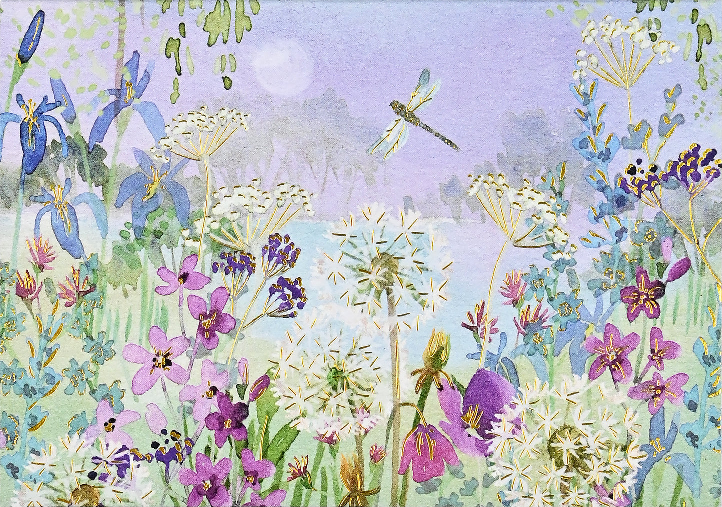 Peter Pauper Press - Dragonflies & Dandelions Note Cards