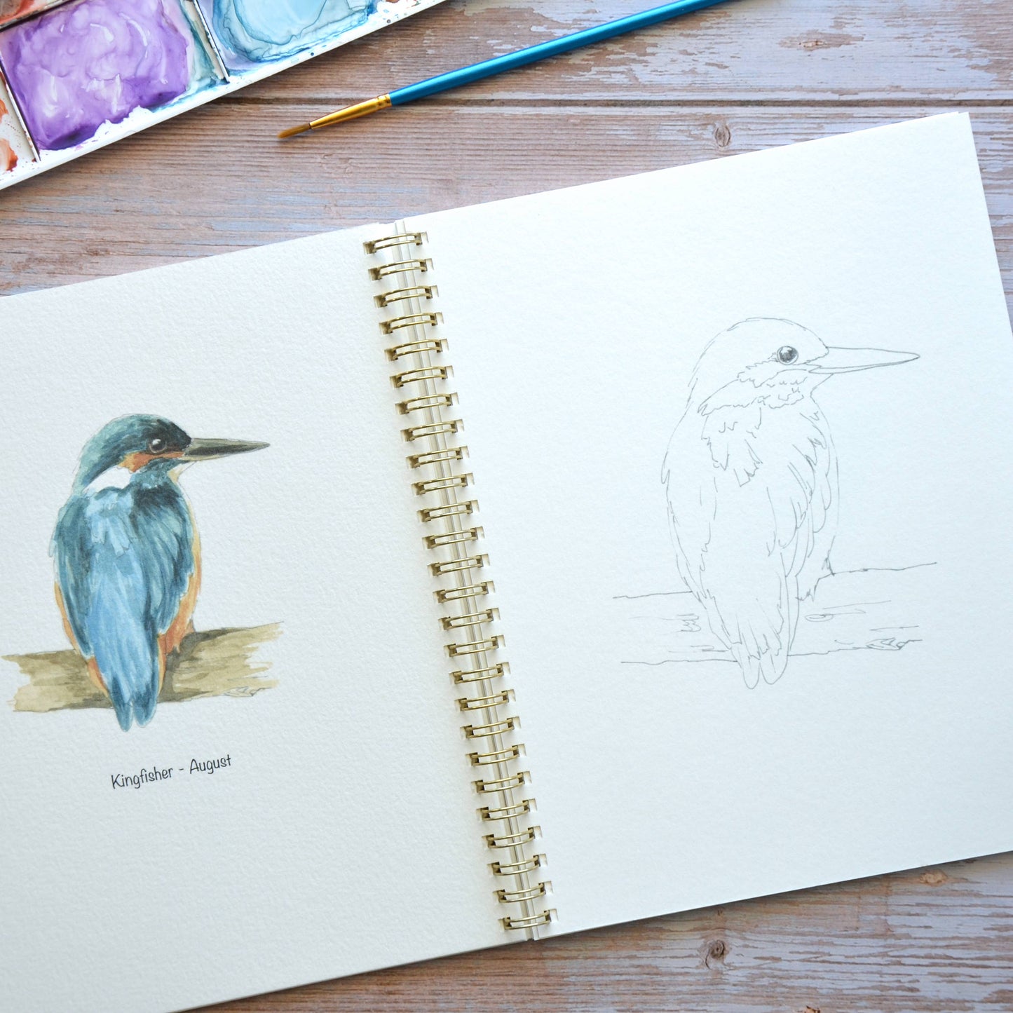 LKA Fine Art - Watercolor workbook, Birth Month Birds Watercoloring book