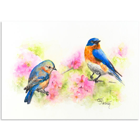 Moonlight & Grace - Eastern Bluebirds