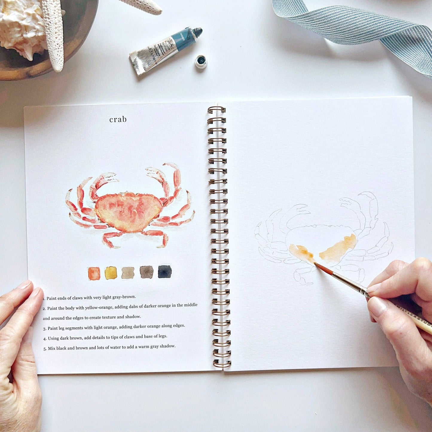 emily lex studio - Seaside watercolor workbook presale