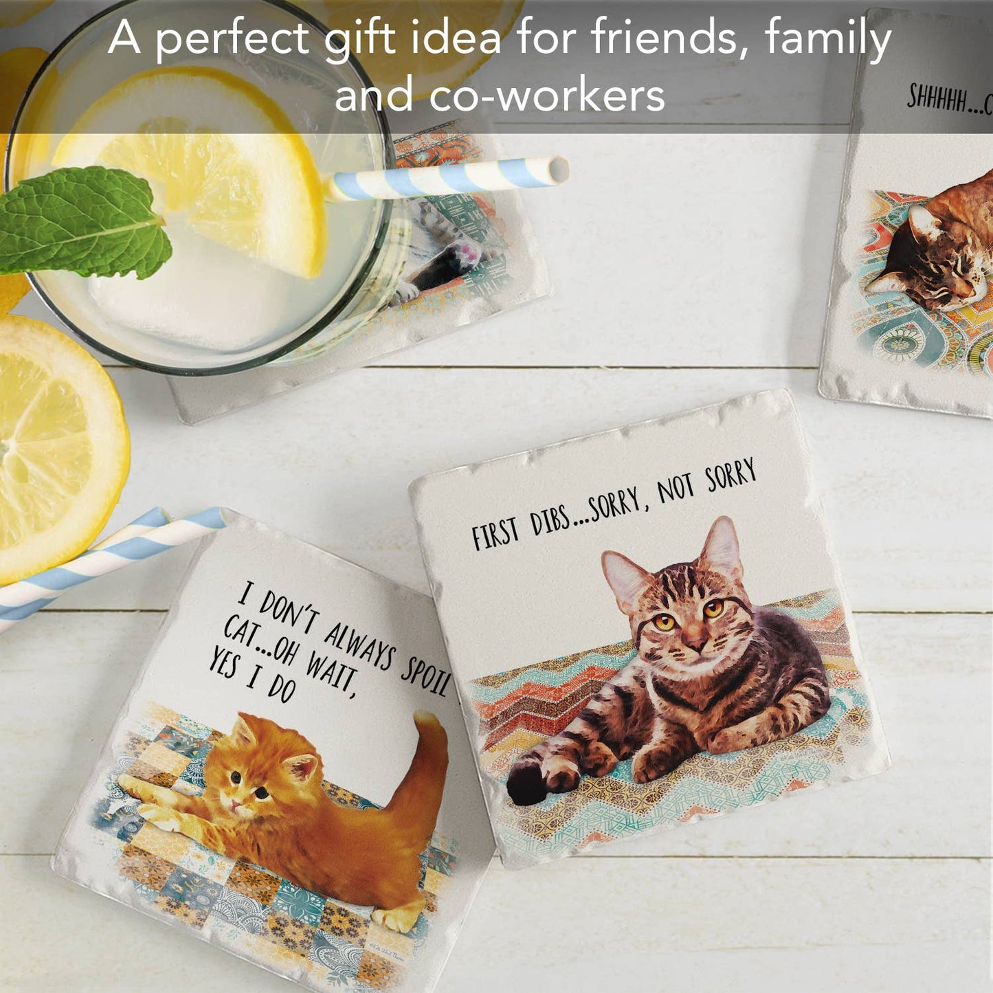 CounterArt/Highland Home/Thirstystone - Cat Nappy Assorted Image Tumbled Tile Coaster 4 Pack