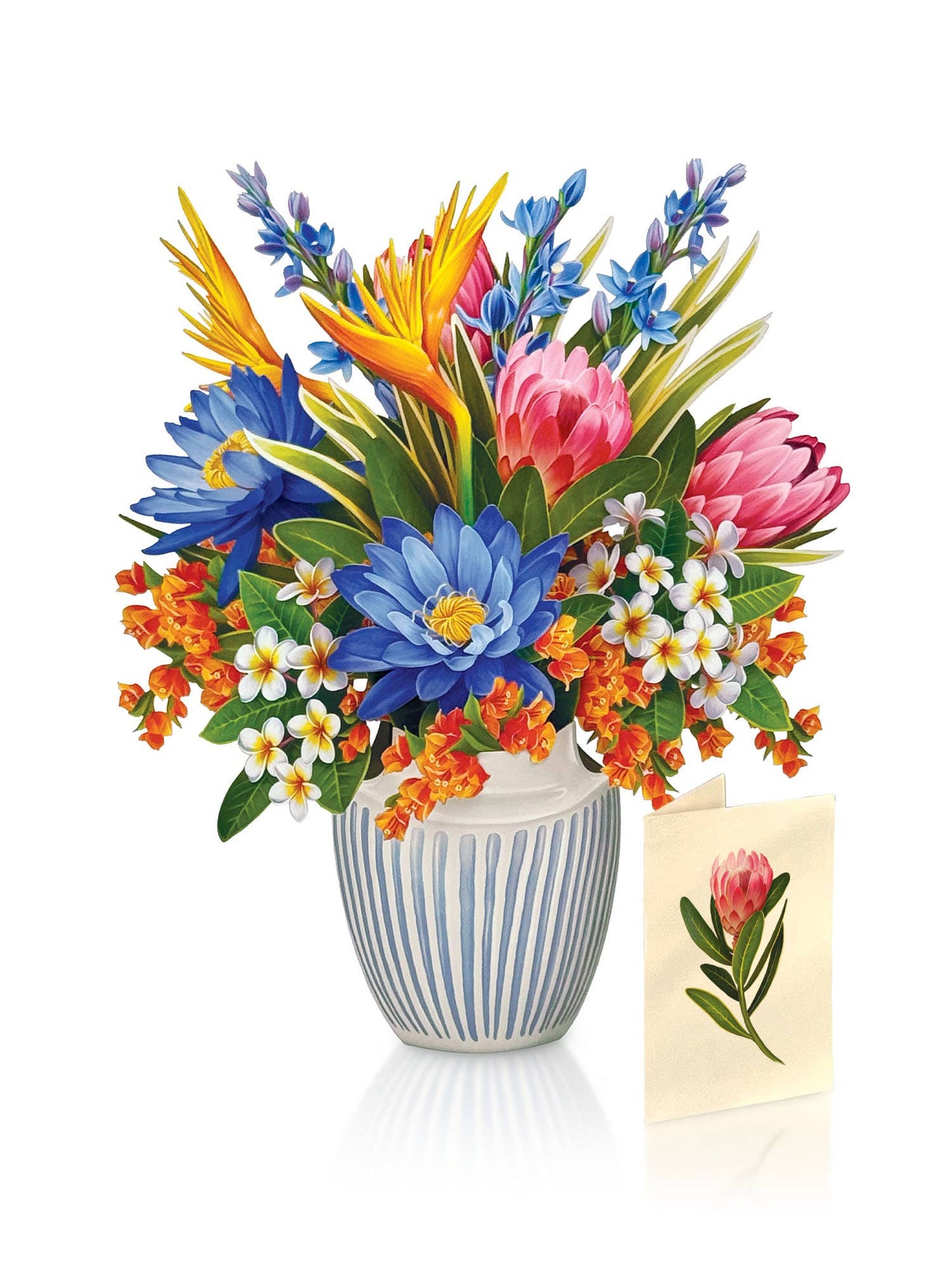 FreshCut Paper LLC - Tropical Paradise (8 Pop-up Greeting Cards)