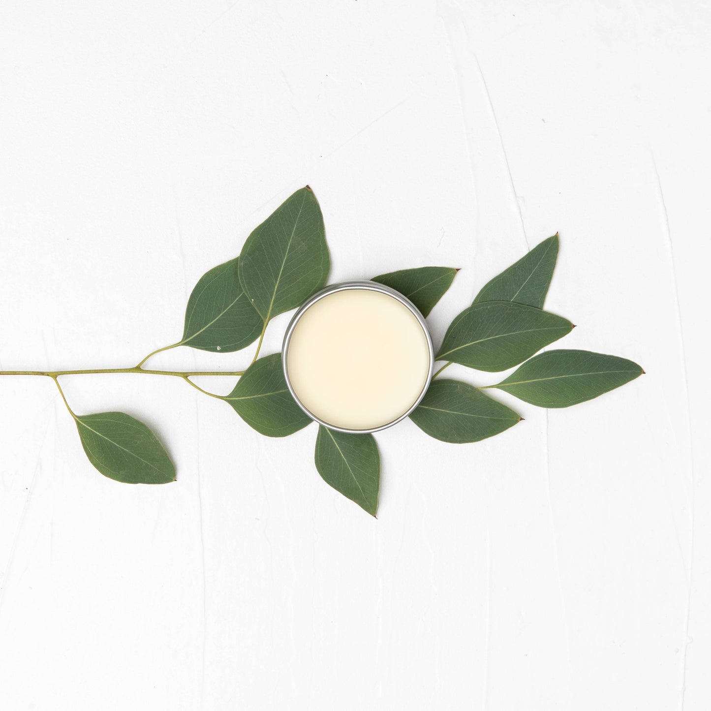 Whispering Willow - Hand & Cuticle Salve - Lemongrass