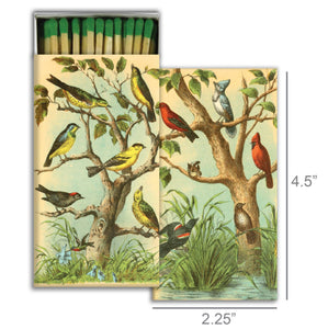 Matches - Bird Studies