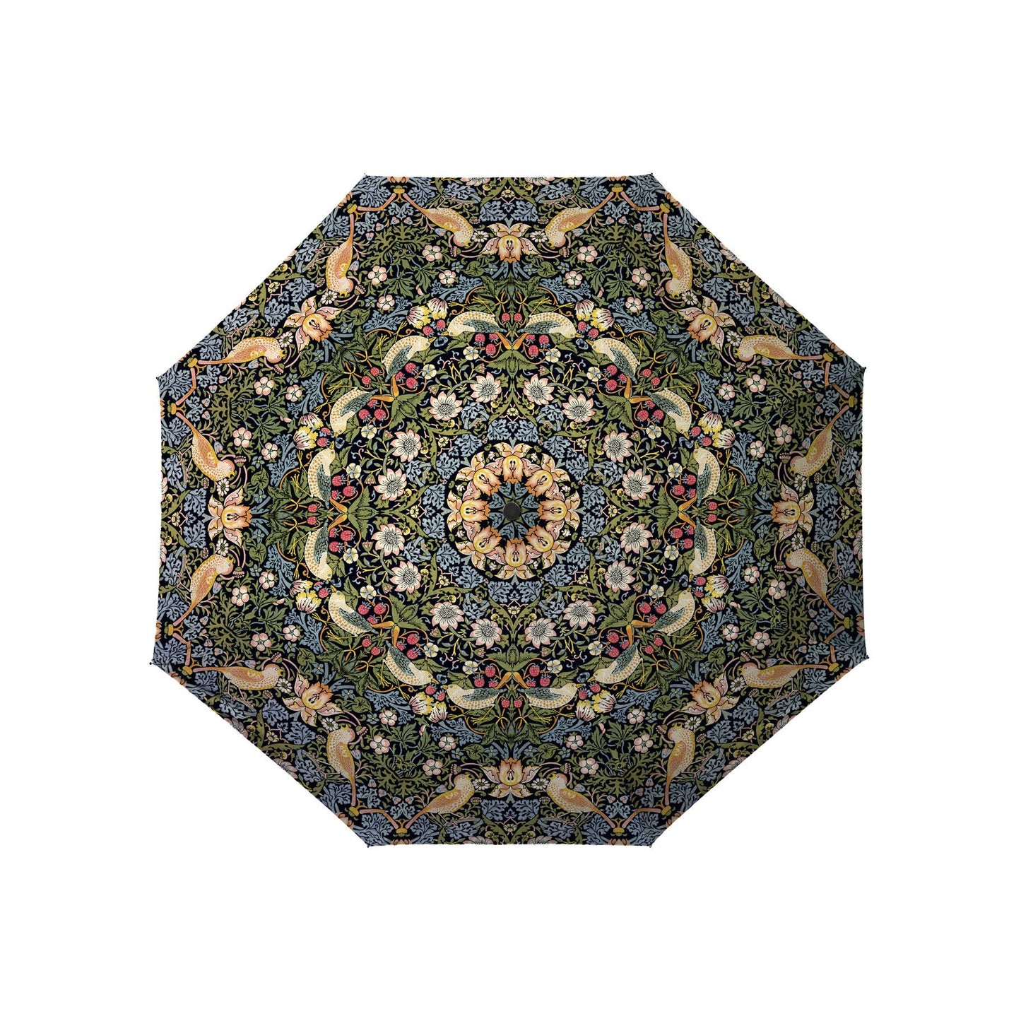 RainCaper - RainCaper William Morris "Strawberry Thief" Reverse Umbrella