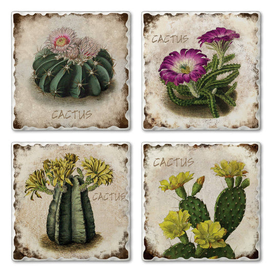 CounterArt/Highland Home/Thirstystone - Thirstystone "Cactus Flowers" Absorbent Stone Coaster 4pk