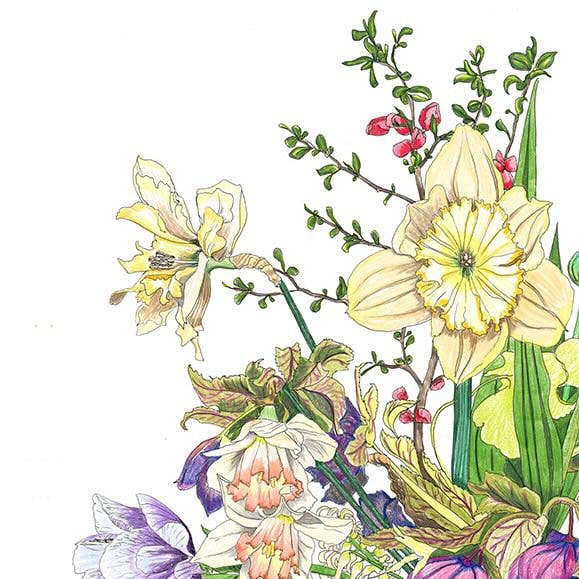 Vivid Cottage - First of Spring - card