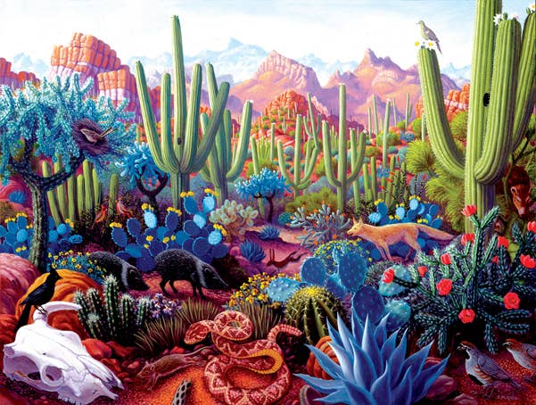 SunsOut - 0265 Cactusland 1000 pc Puzzle