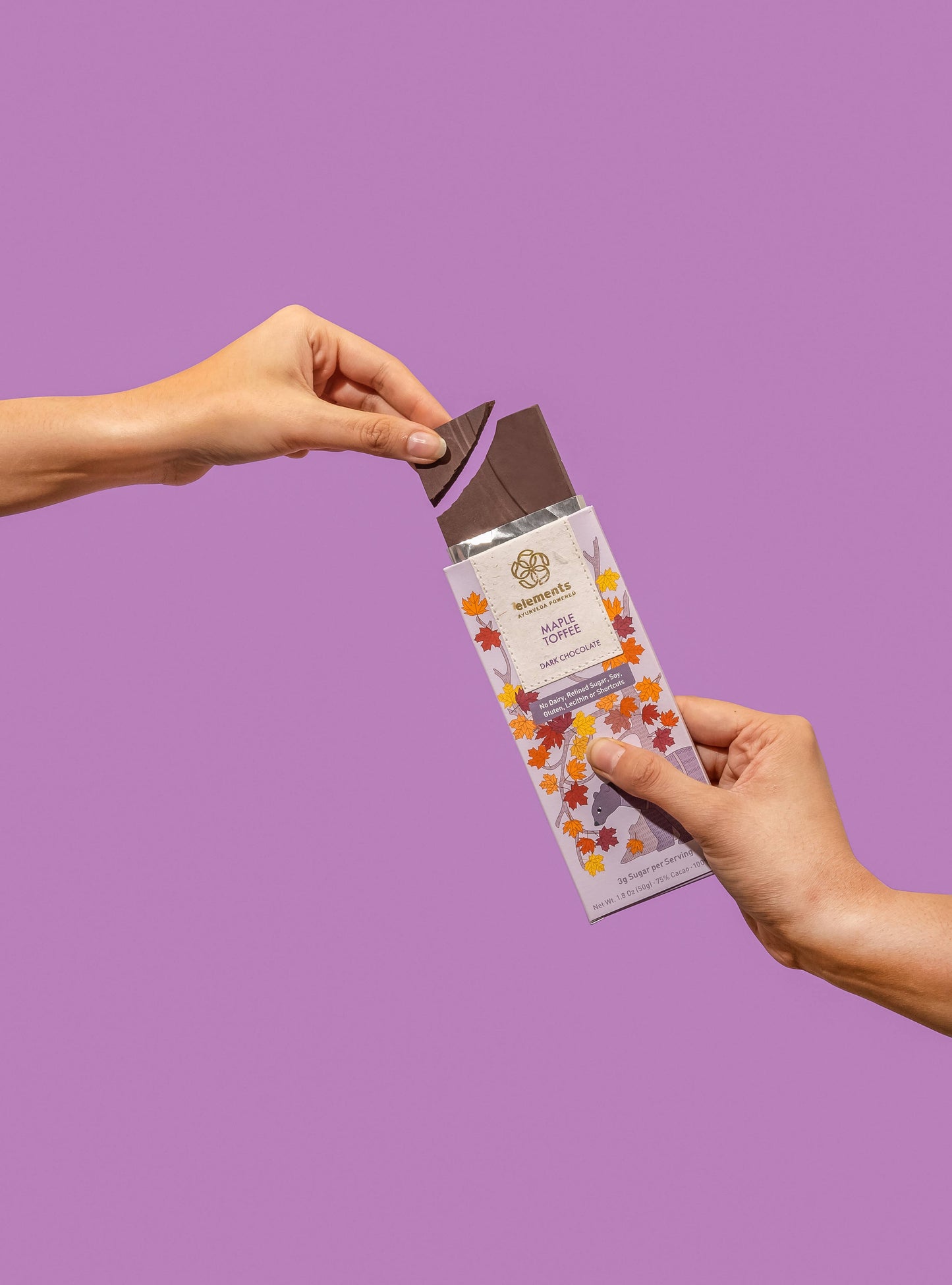 Elements Truffles - Maple Toffee 75% Dark Chocolate