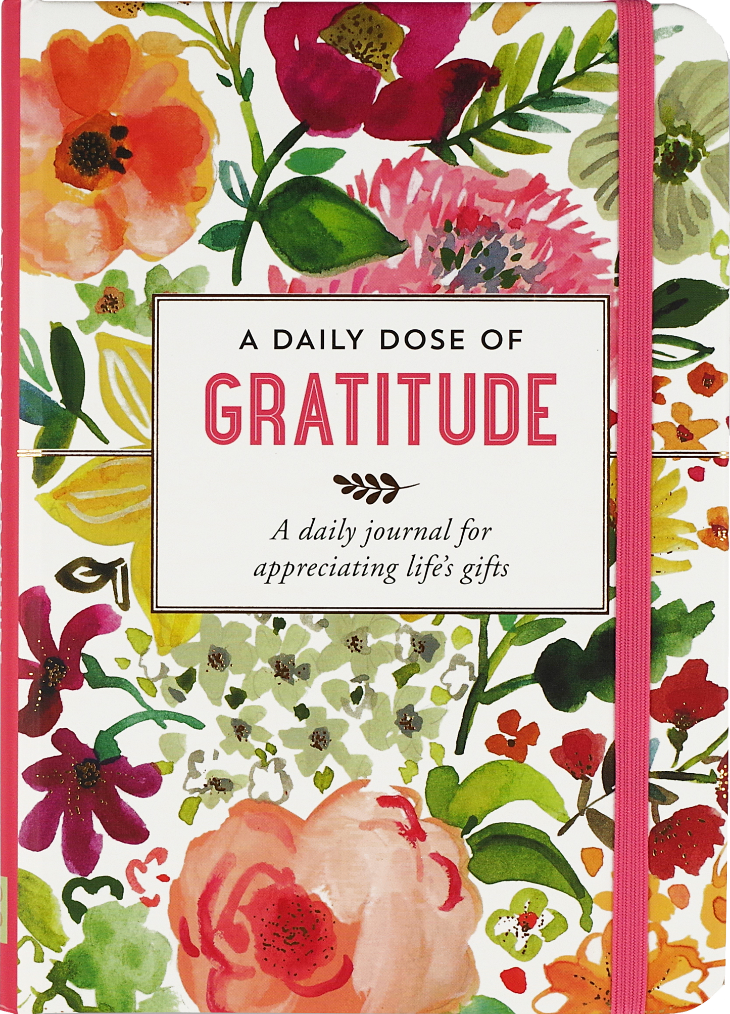 Peter Pauper Press - A Daily Dose of Gratitude Journal