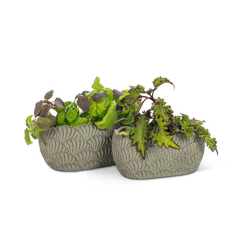 Abbott - Sm Oval Scallop Planter-Grn-5x8" L