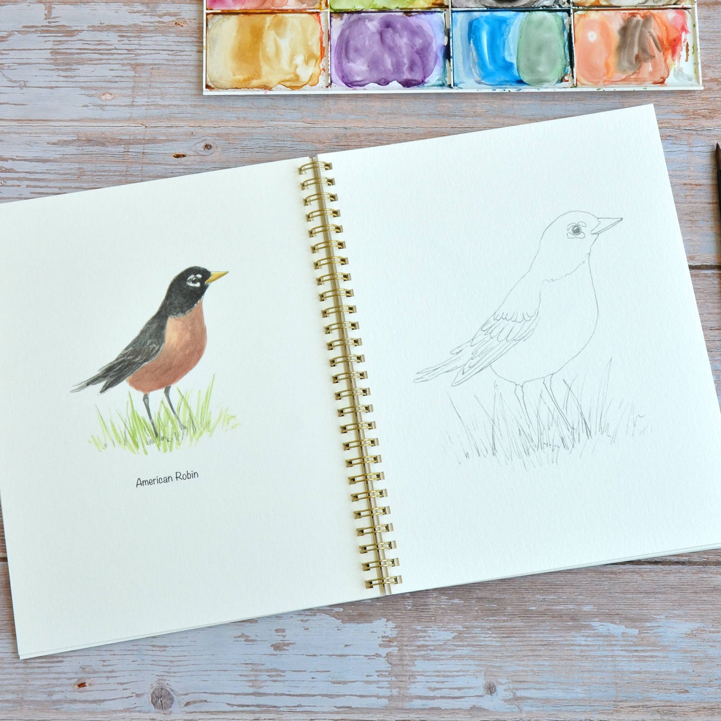 LKA Fine Art - Watercolor workbook, Backyard Birds Watercoloring book