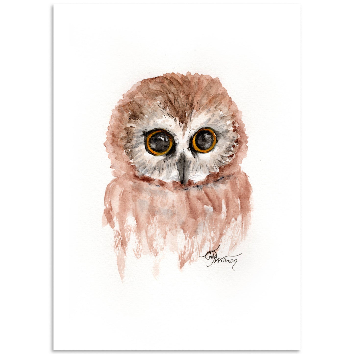 Moonlight & Grace - Saw Whet Owl