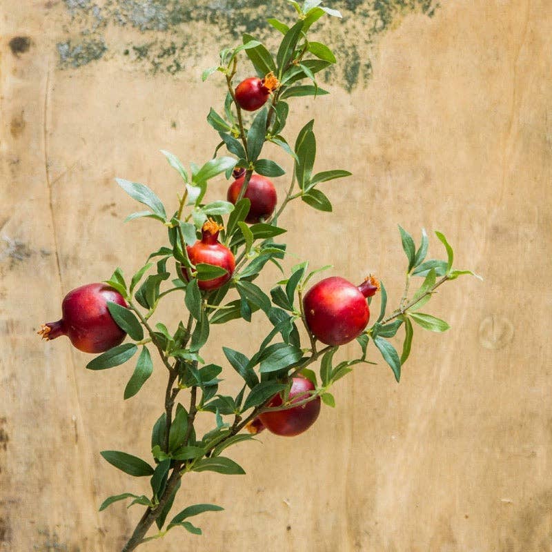 Rustic Reach - Big Fruit Faux Pomegranate Stem 32" Tall: Red / One Stem