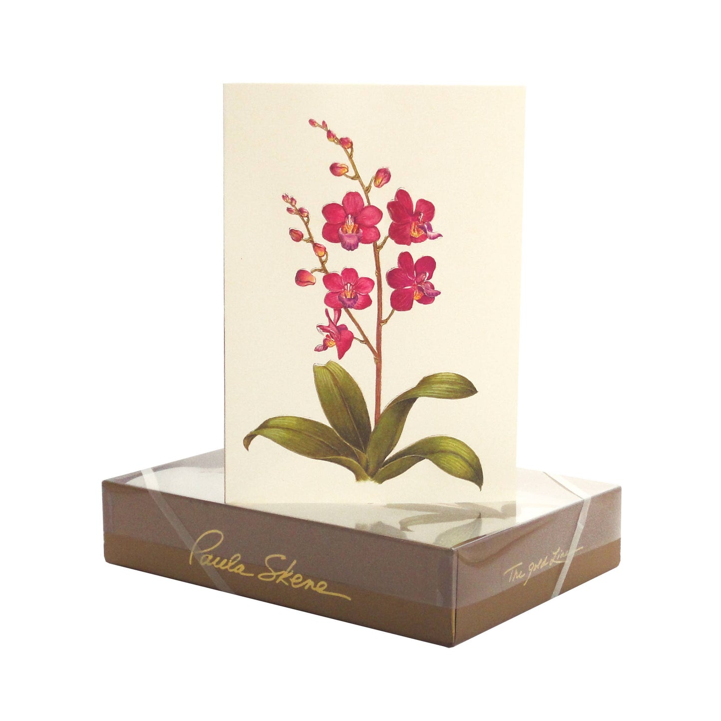 PAULA SKENE DESIGNS - Orchid Blank Card: Single Sleeved Caard