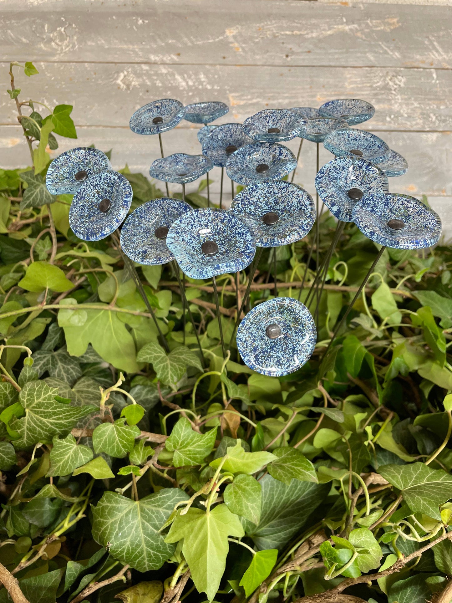 CARNEOL GLASS - Small Glass Flower For Inside In Transp.-D.Blue-L.Blue