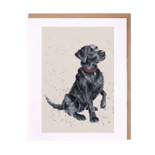 Wrendale Designs - Black Labrador