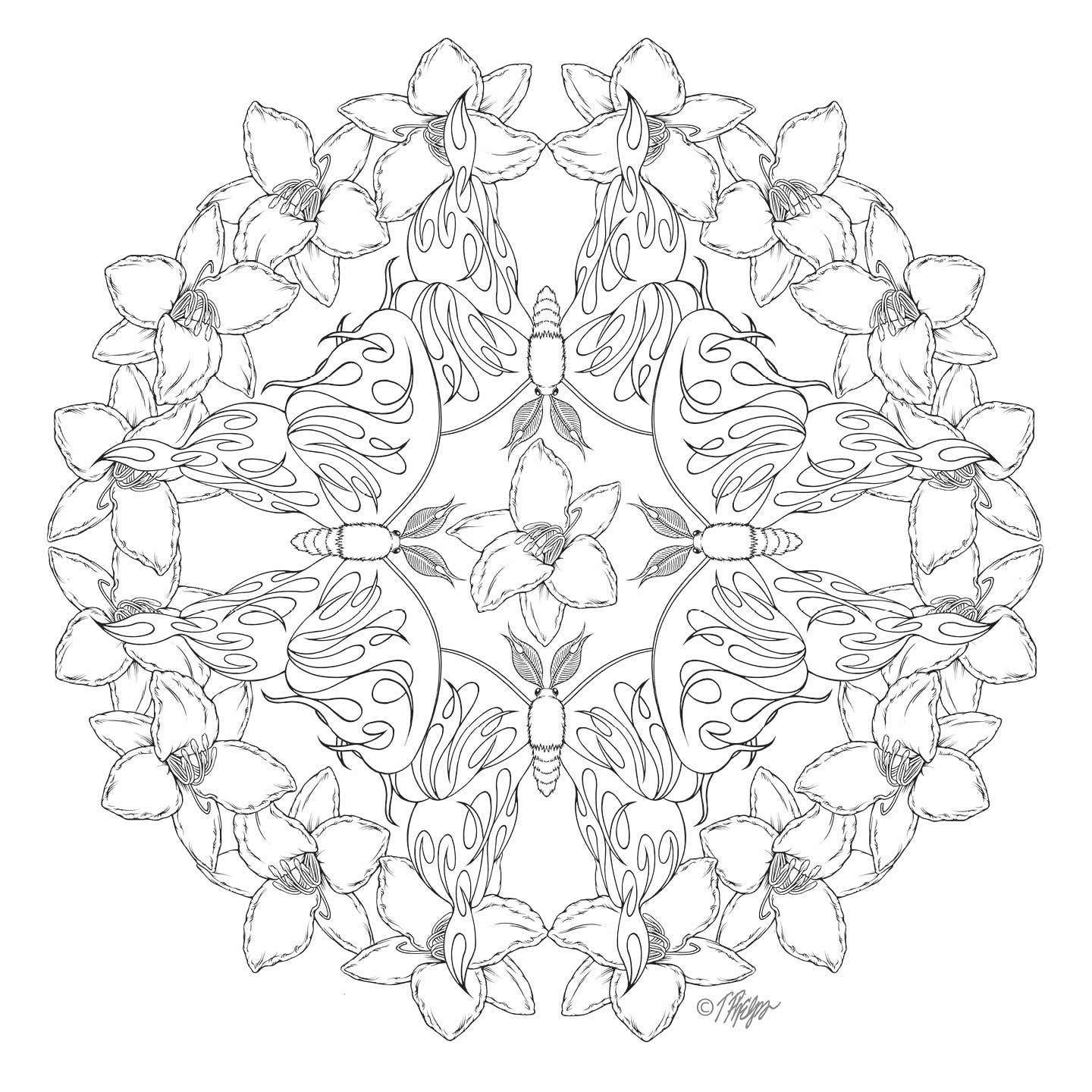 Schiffer Publishing - Garden Life: Nature Mandala Coloring Book