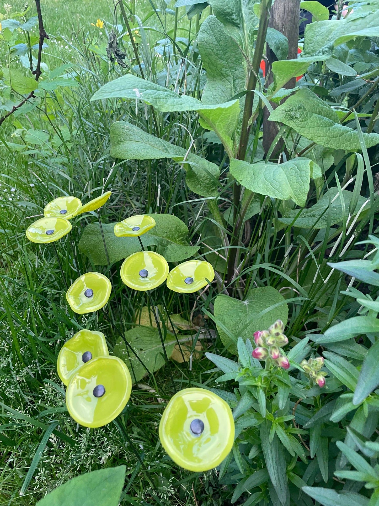 CARNEOL GLASS - Small Glass Flower For Inside In Applegreen