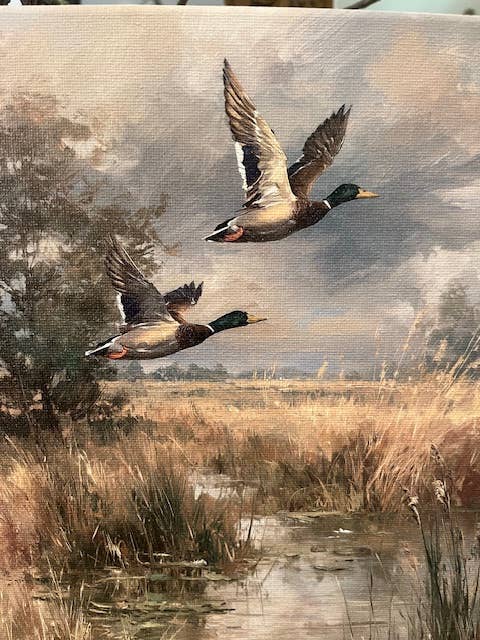 Rustic Nester - Mallard duck canvas art print, Gift for Dad, Nature inspired: 11x14