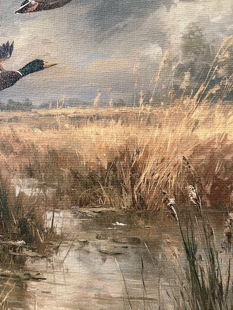 Rustic Nester - Mallard duck canvas art print, Gift for Dad, Nature inspired: 11x14
