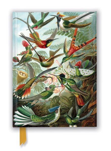 Texas Bookman - Ernst Haeckel: Hummingbirds Journal
