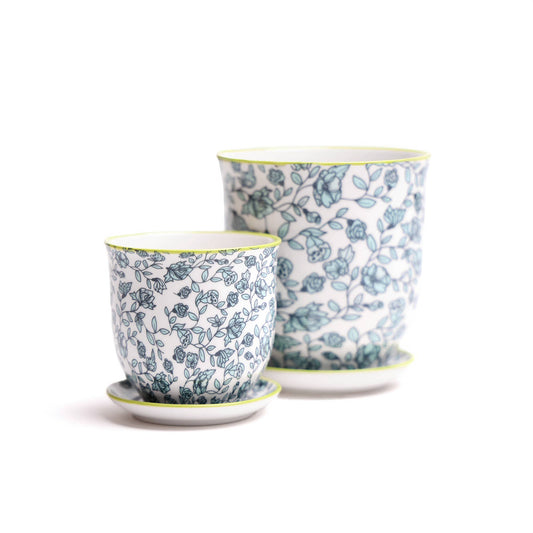 Chive - Liberte Indoor Porcelain Plant Pots: Green Flowers / 3.25"