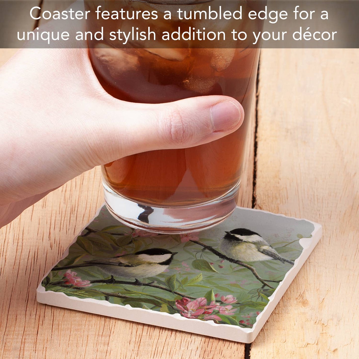 CounterArt/Highland Home/Thirstystone - Chickadees #1 Single Absorbent Stone Tumbled Tile Coaster