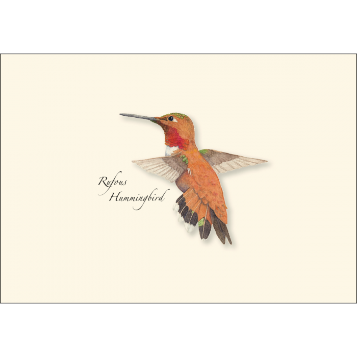 Earth Sky + Water - Western Hummingbird Assortment