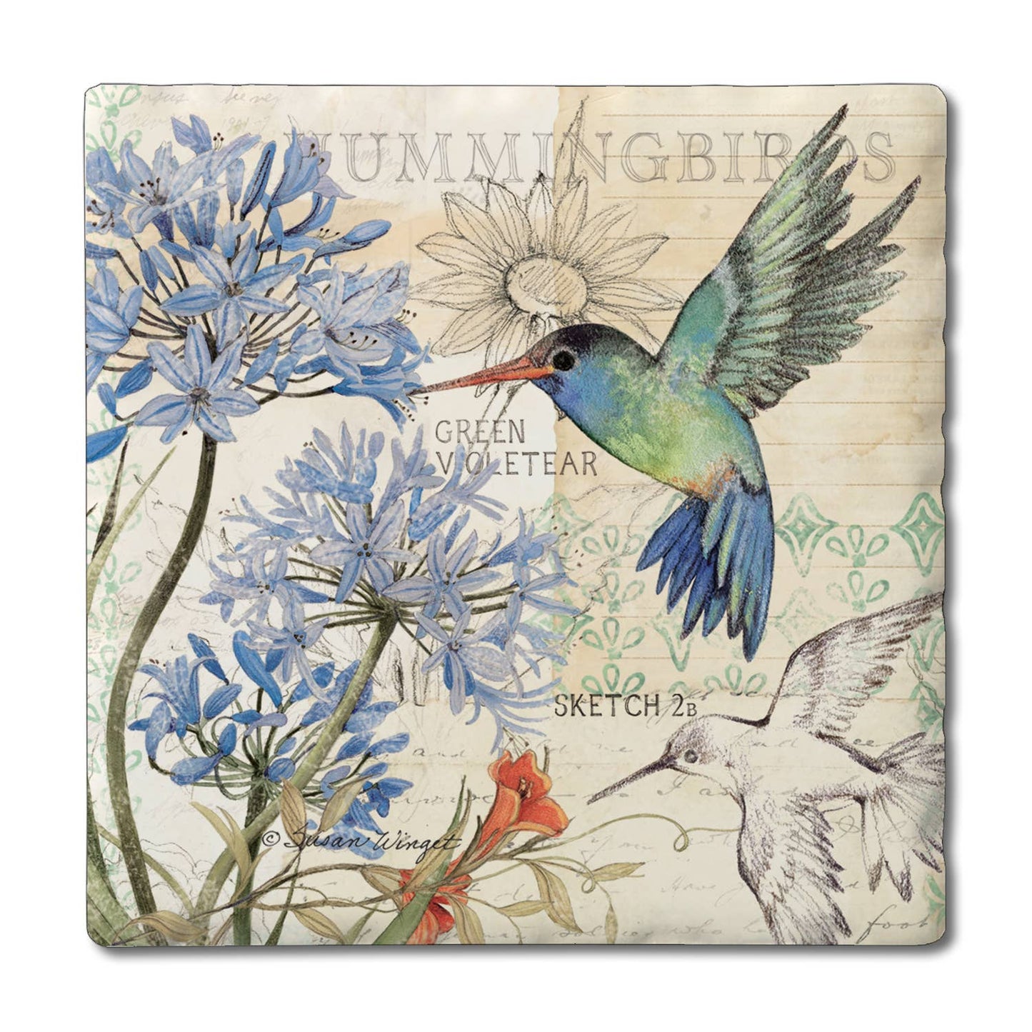 CounterArt/Highland Home/Thirstystone - "Hummingbird Study" 4 Pack Tumbled Tile Coasters