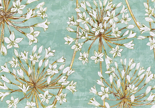 Peter Pauper Press - Allium Blossoms Note Cards