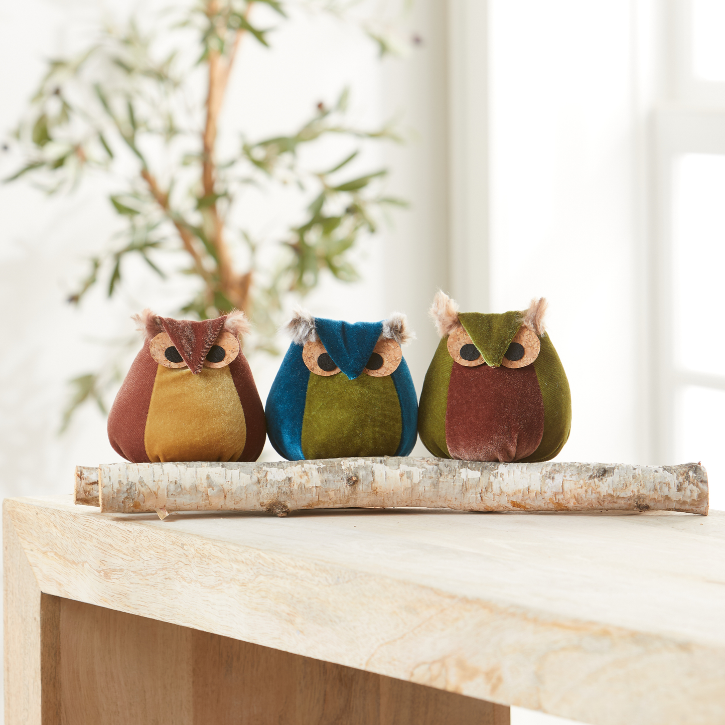 Your Heart's Content - Whimsical velvet owls,  charming owl enthusiastic, unique: Avocado Owl