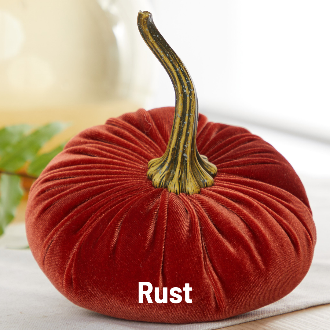 Your Heart's Content - Pumpkin Large Velvet, Fall Decor, Shelf Sitter, Tablescape: Fern