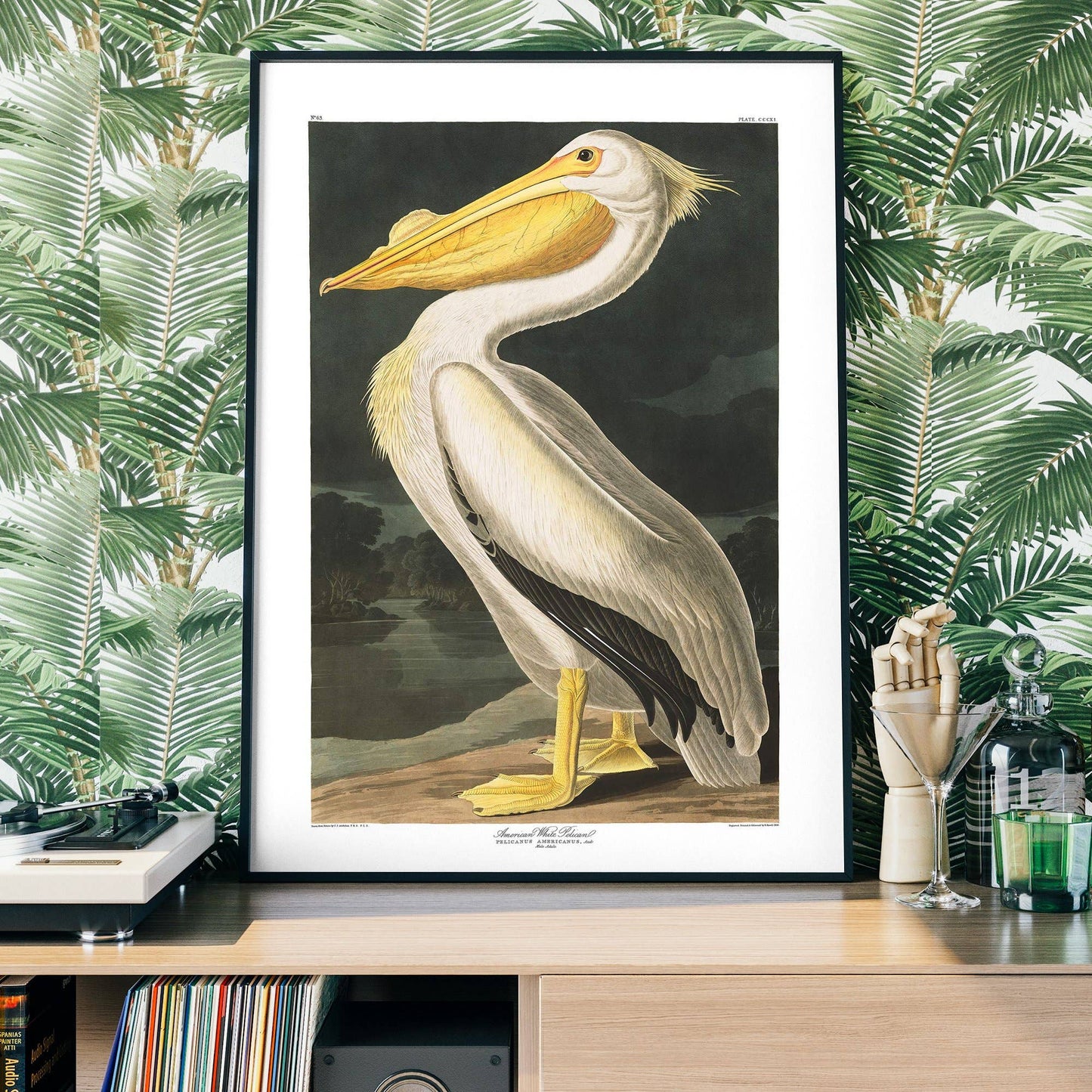 Ink & Drop - American White Pelican Vintage Antique Bird Print: 11 ¾ x 15 ¾ in | 30x40 cm / Matte