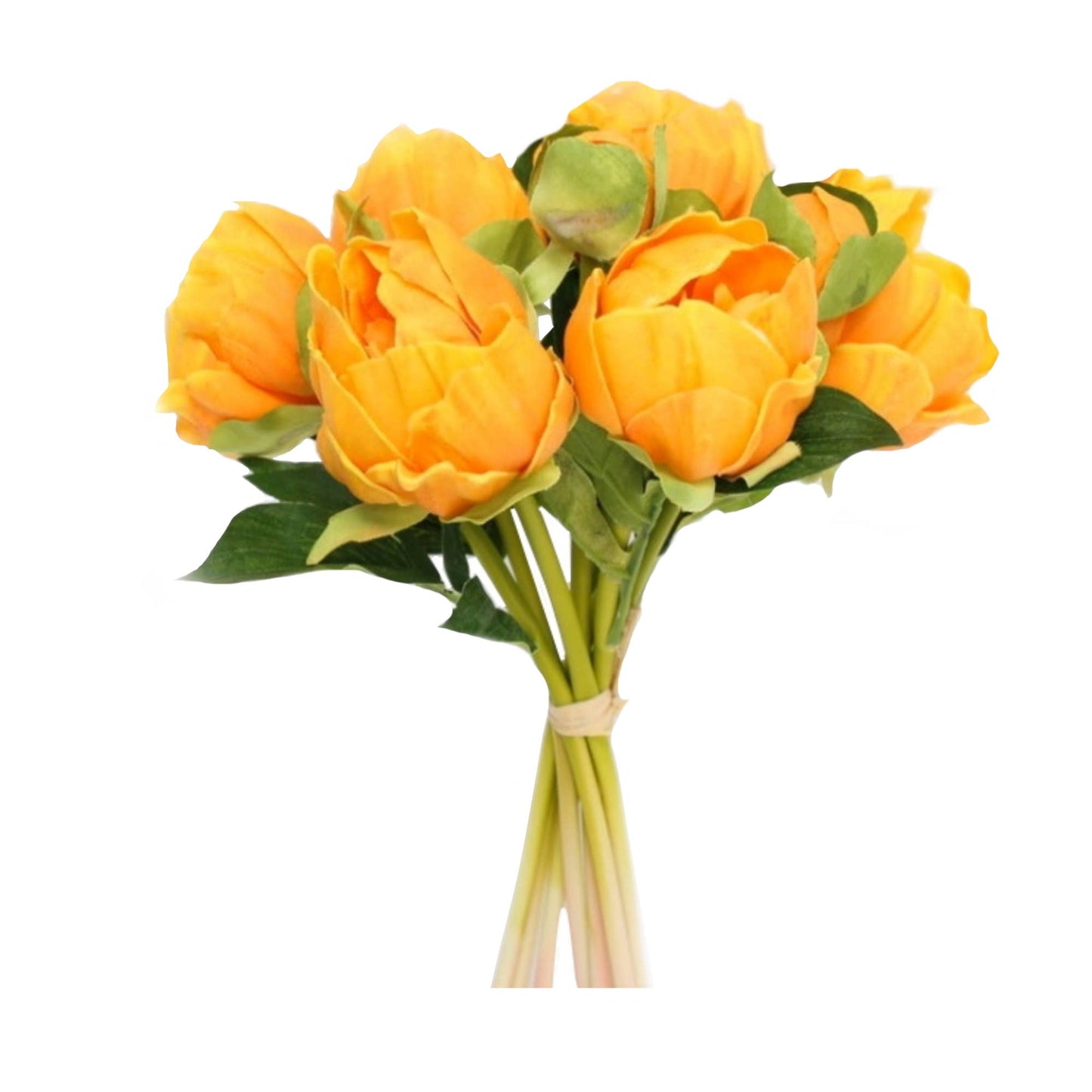 Angel Isabella - 10.5" Real touch artificial Peony bundle-8 Flowers and buds: White