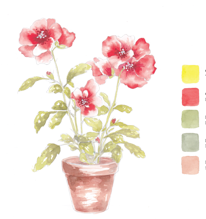 Willow Wolfe USA - Blooms & Bouquets Watercolor Workbook by Willow Wolfe