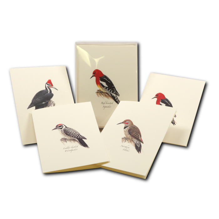 Earth Sky + Water - Peterson W. Woodpecker Asst.