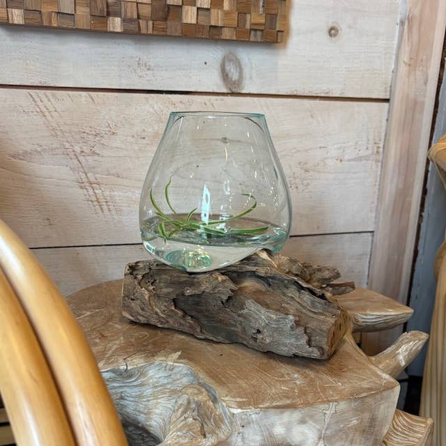 Asia West - X-Small Glass & Driftwood Terrarium (approx. 10"x 6" x 8"h)