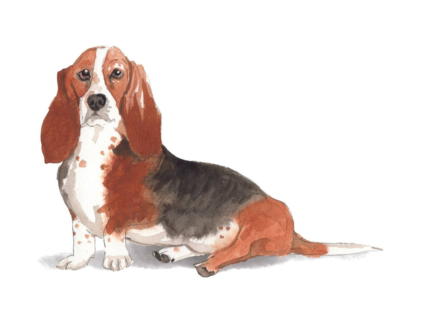 Bourbon & Bacon - Basset Hound Note Cards Blank Boxed Set of 10